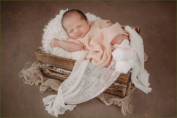 Matilda, Foto: Lisa Kohler